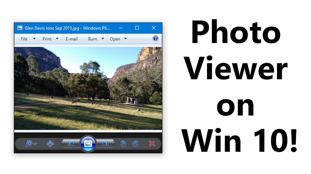 microsoft photo viewer free download windows 7